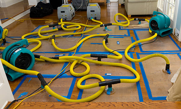 Professional Crawl Space Water Removal technician working in Chisago City, MN